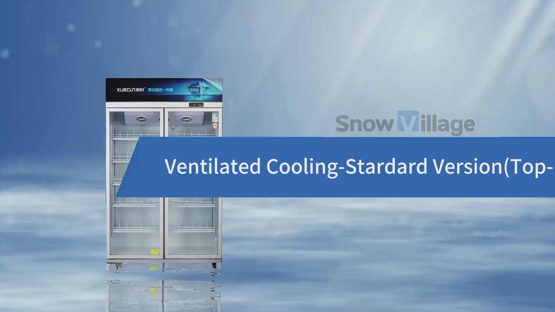 Upright Glass Door Showcase LC Standard Ventilated Cooling Refrigerator Series - 2/3 Doors